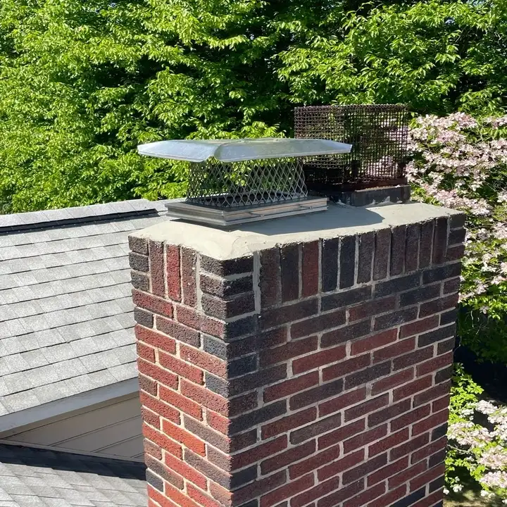 Red brick chimney with a stainless mesh cap beside a blooming dogwood
